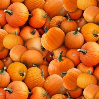 Pumpkins Orange by Elizabeth's Studios